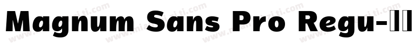 Magnum Sans Pro Regu字体转换